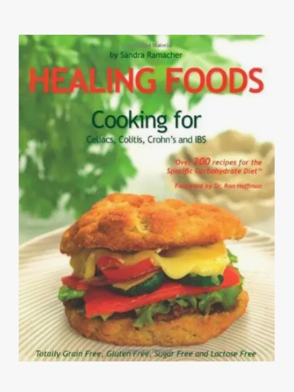 Healing Foods Cooking for Celiac Colitis Crohn's IBS Specific Carbohydrate Diet
